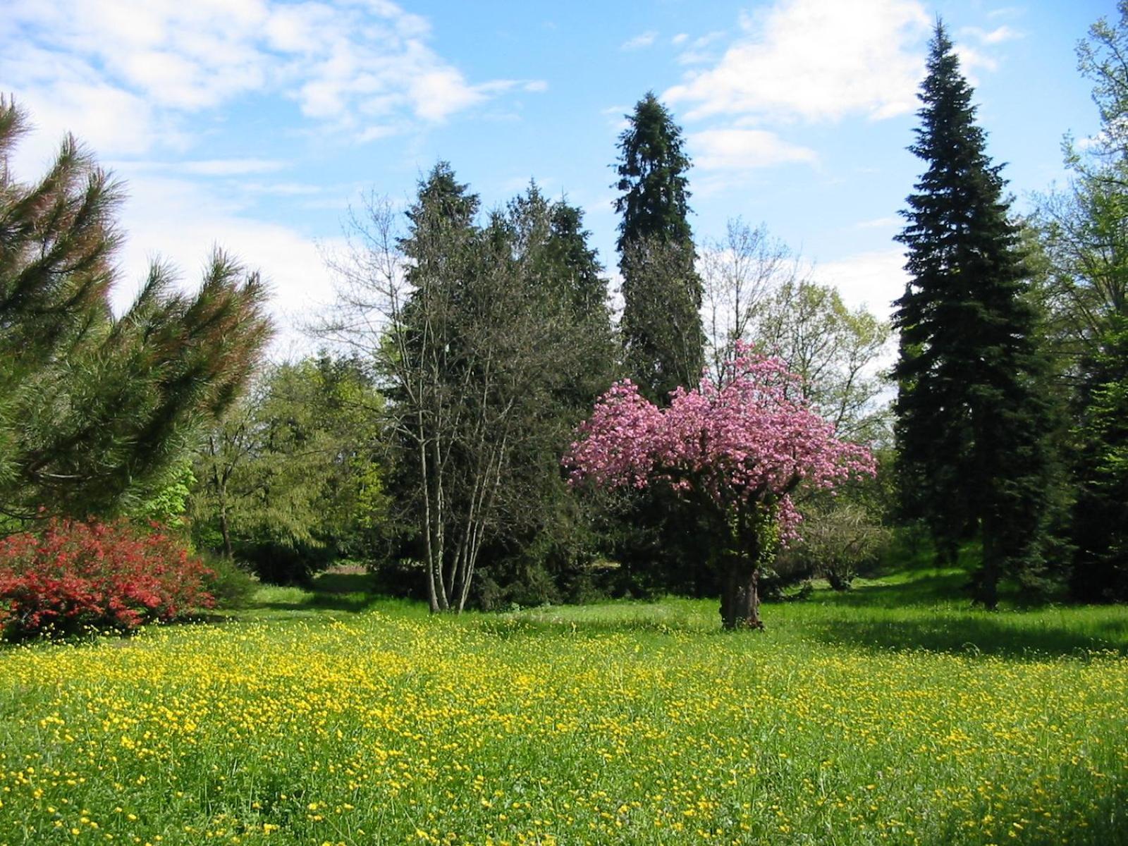 Agriturismo Villa Gropella Valenza Zewnętrze zdjęcie
