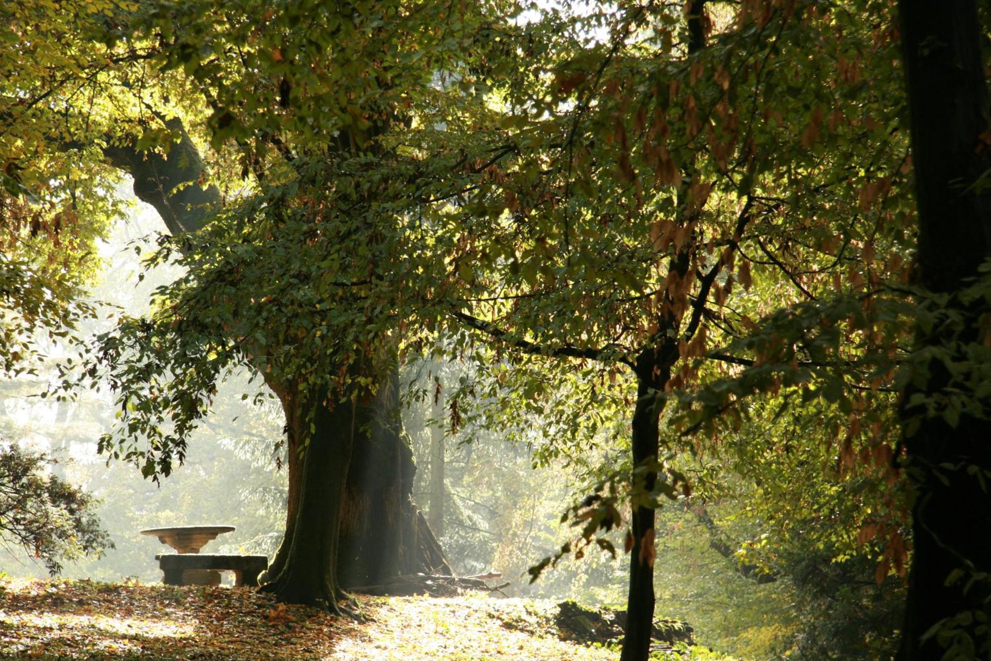 Agriturismo Villa Gropella Valenza Zewnętrze zdjęcie